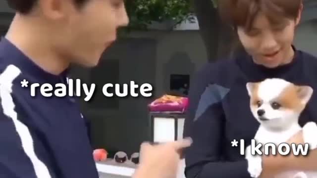 soo cute bts with dogs