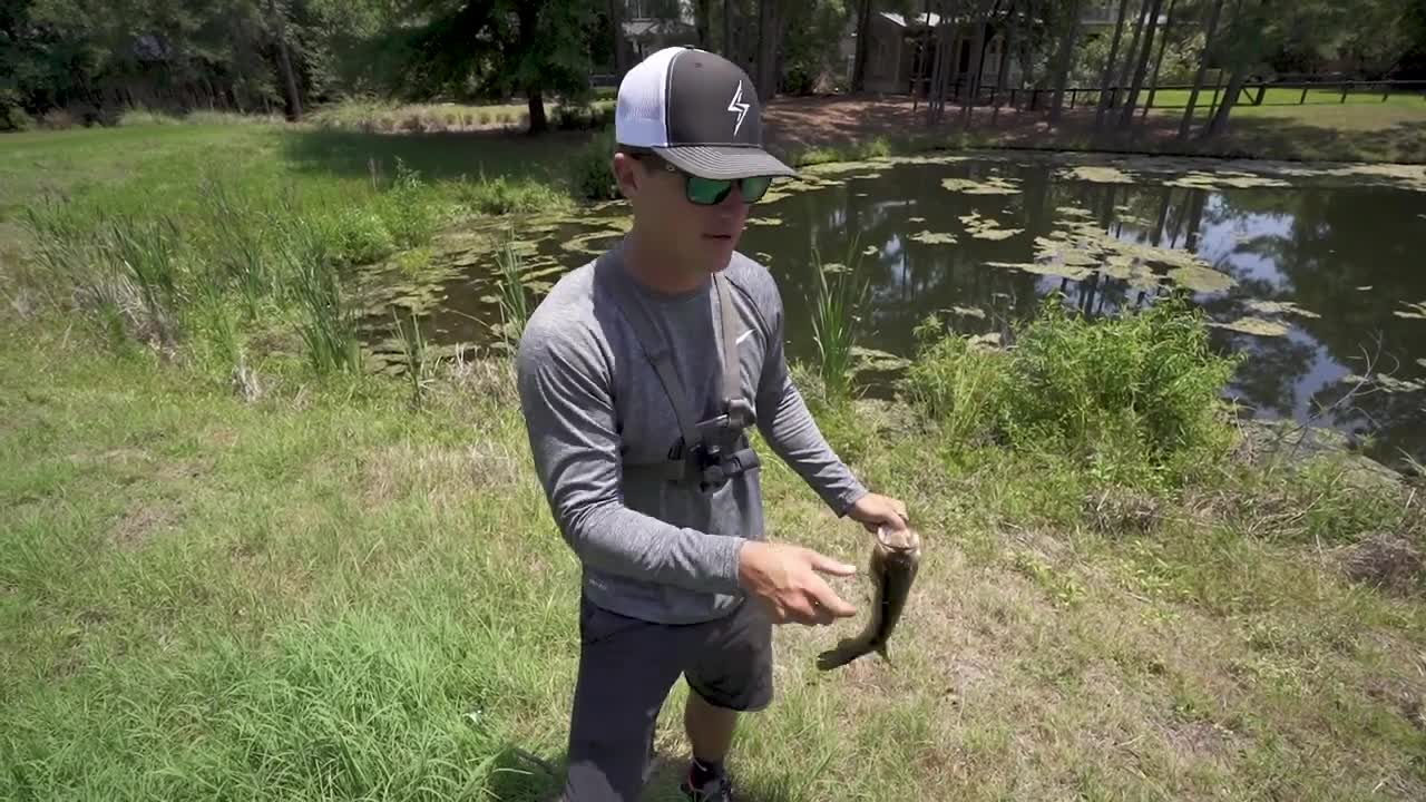 Fishing FROGS in PONDS - I MESSED UP...(Bank Fishing)