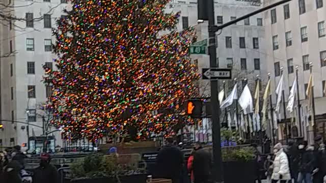 The Rockefeller Center Christmas Tree of 2021.