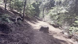 Descending the Upper Forest Section of Black Butte Trail – Central Oregon – 4K