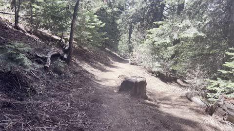 Descending the Upper Forest Section of Black Butte Trail – Central Oregon – 4K