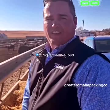 cows are carbon negative