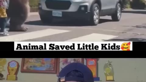 Animal saved little kid