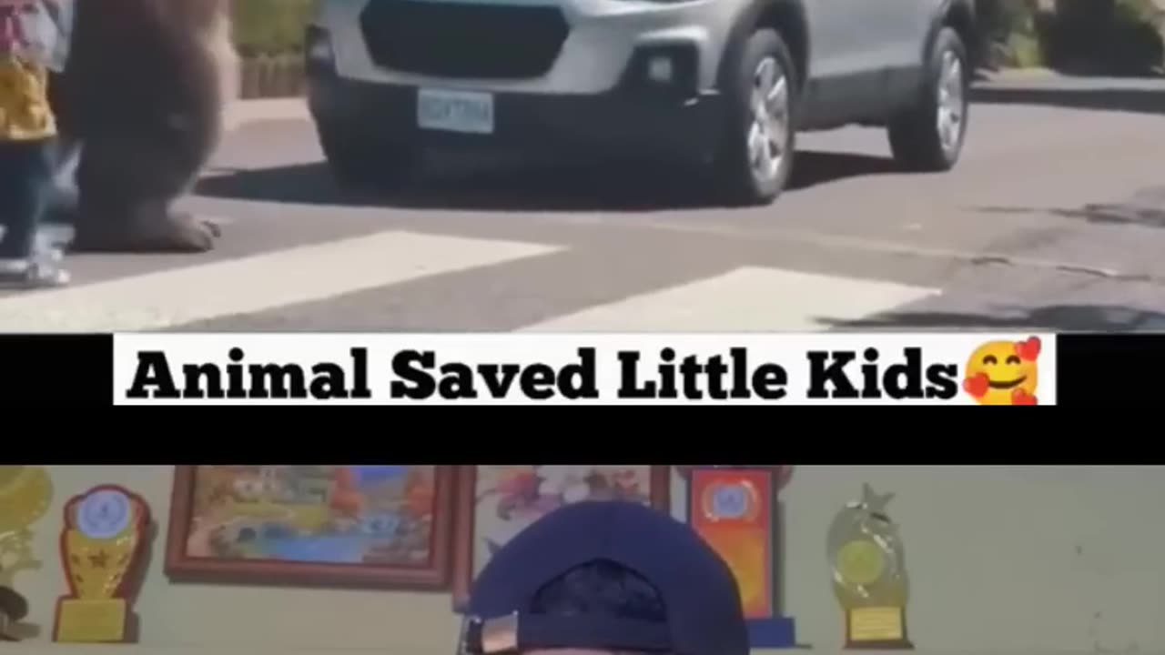 Animal saved little kid