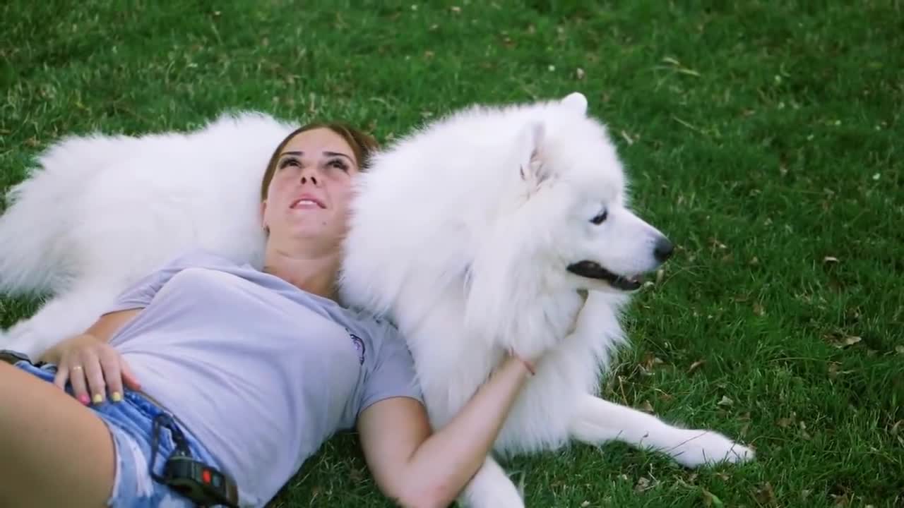 15 most expensive dogss in the world