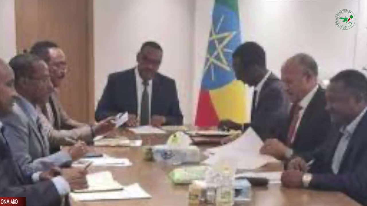 Qophii Addaa ONM-ABO Onkoloolessa 20-2024 itti dhiyaadhaa!