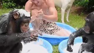 Monkeys , dog and the man are taking shower🦧🐕‍🦺