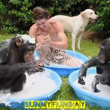 Monkeys , dog and the man are taking shower🦧🐕‍🦺