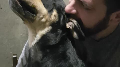 Growling Pupper