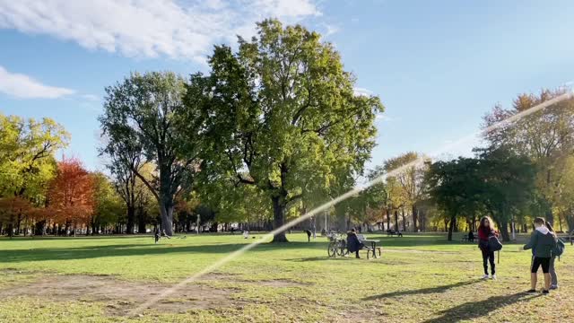 La Fontaine PRAYFUL TREES