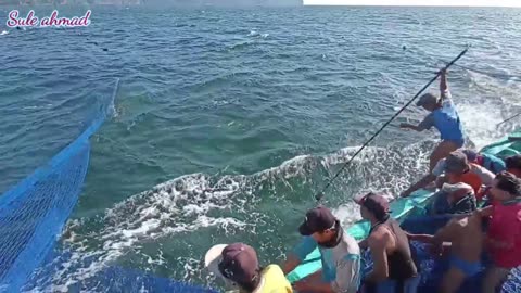 the process of catching tuna fish by Indonesian fishermen