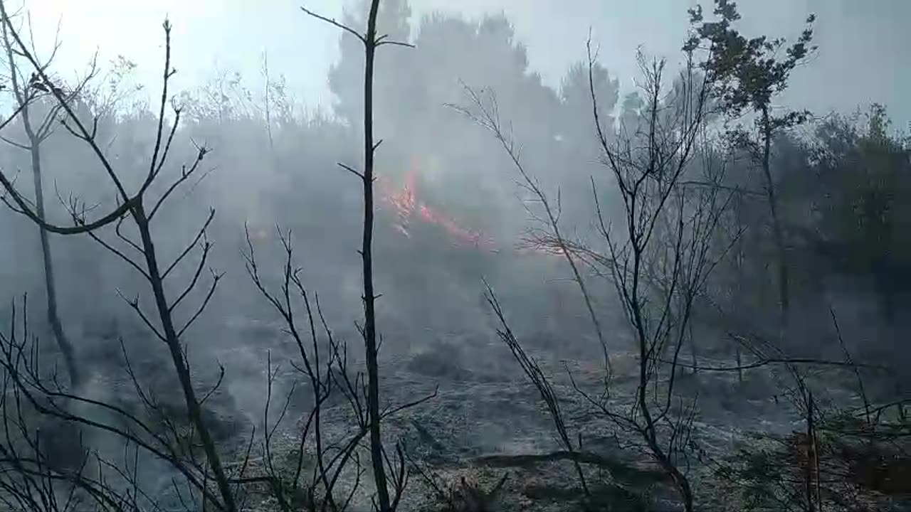 Riaktivizohet zjarri në Krujë, dyshohet se është vënë qëllimisht