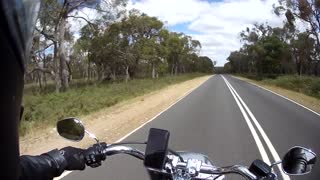 Screaming Eagle VS Emu