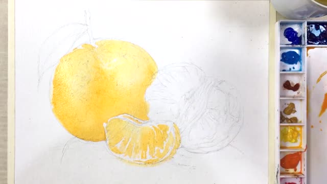 Master paints a delicate orange with watercolor 5