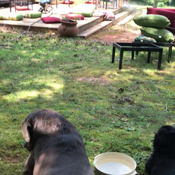 A summer day in the south.