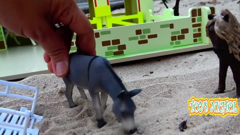 Blue Tractor Carries Two Dairy Cows Over Sandy Road to Reach the Barn