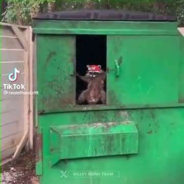 drefanzor memes - Waking up this morning after getting called garbage by biden