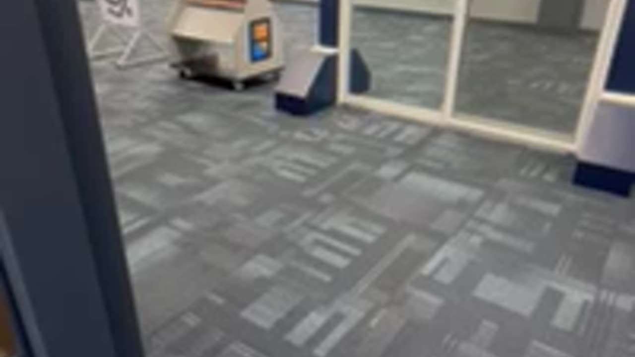 Workplace Gone Wild