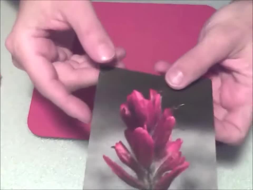 Indian Paintbrush Flower Tutorial 6 18 2011