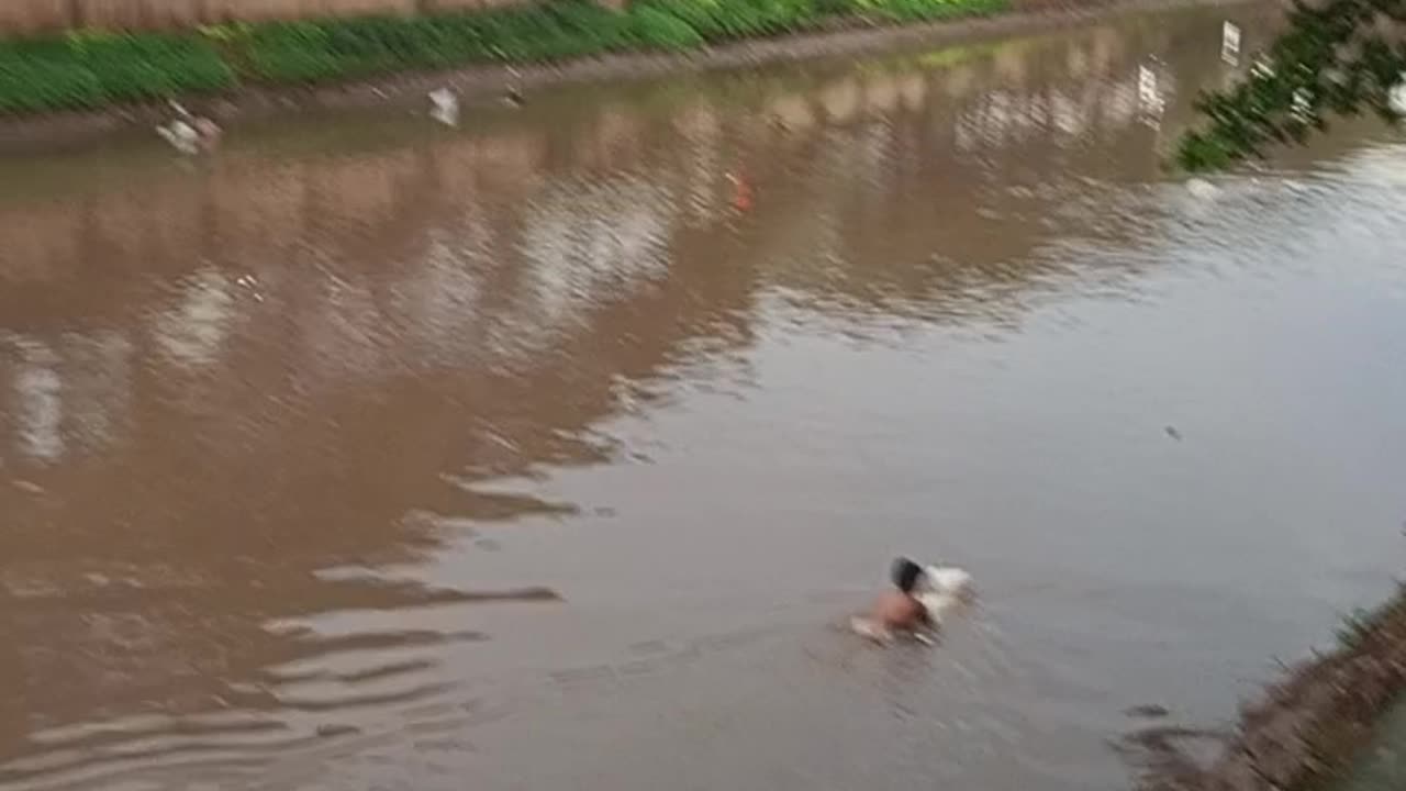 River view