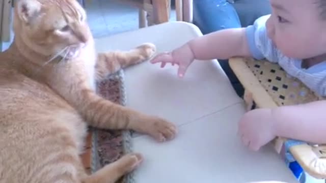 Baby and cat