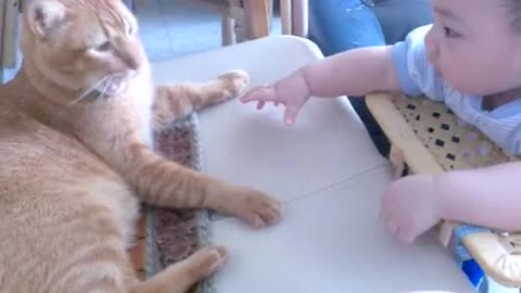 Baby and cat
