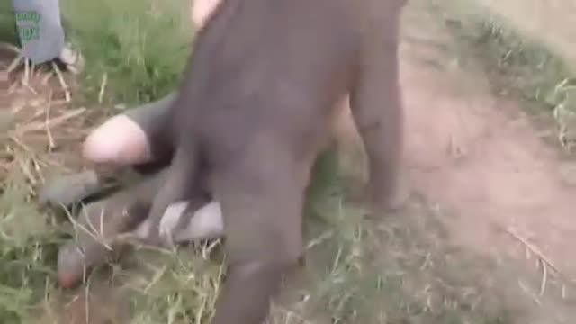 Most Funny and Cute Baby