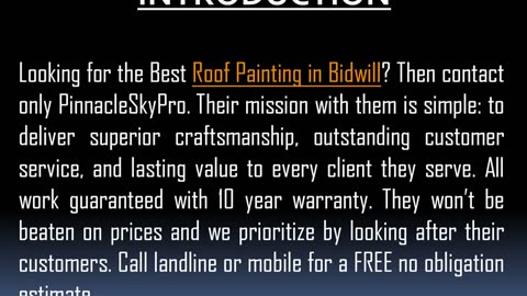 Best Roof Painting in Bidwill