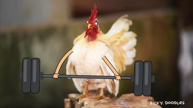 Birds with arms ( part 1 ) funny animation