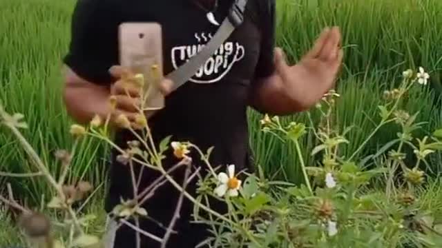 try cinimatic video