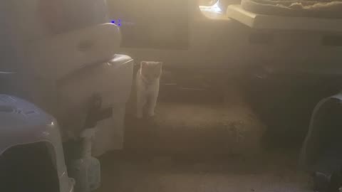 Ollie actin rambunctious