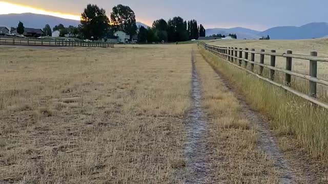 Horse Responds To Whistle - Audio Priceless!