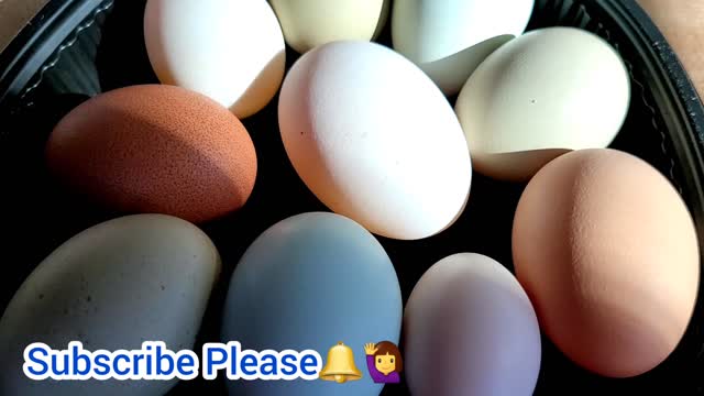 Organic Eggs - From Our Farmhouse - Desi Anday
