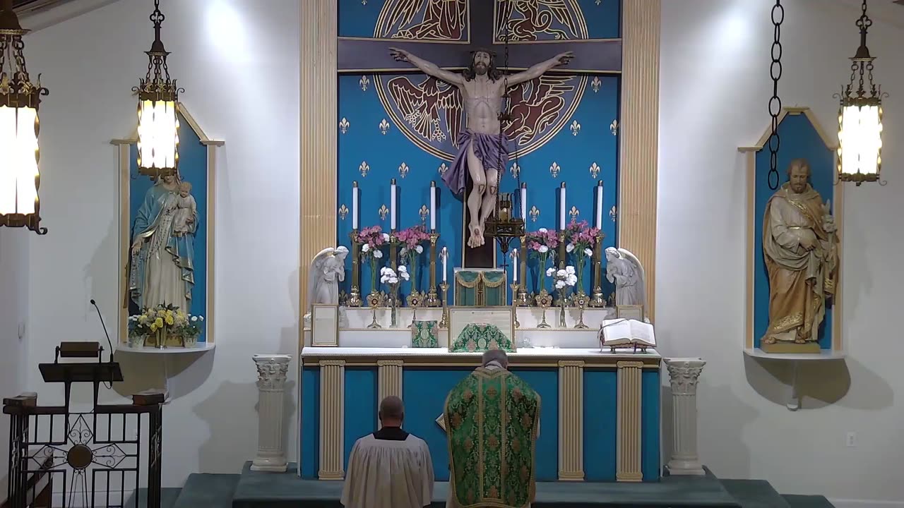 Traditional Latin Mass: The Immaculate Heart of the Blessed Virgin Mary