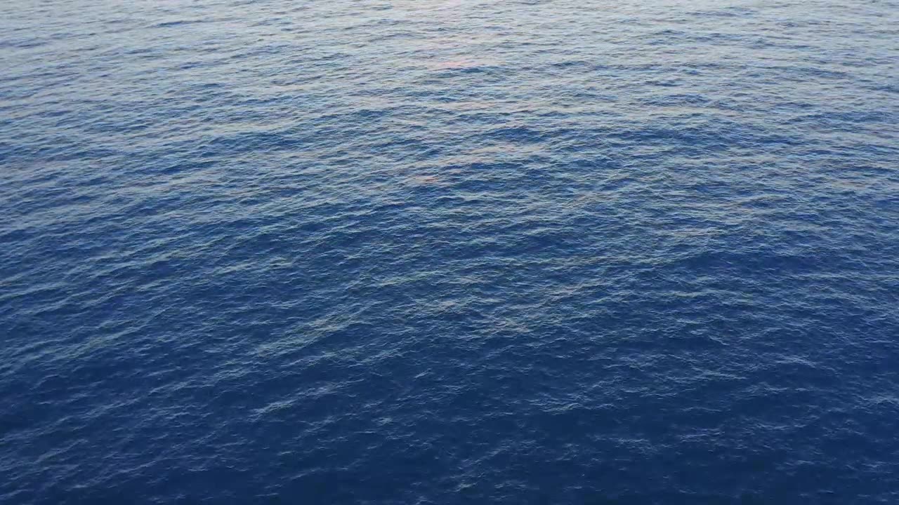 Кремлевский волшебник – Джулиано да Эмполи – Обзор английского перевода – 11 ноября 2023 г.