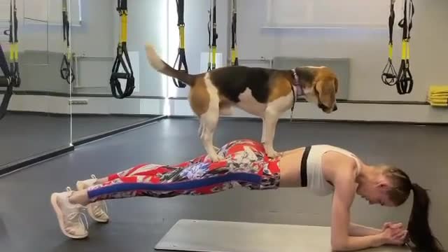 Dog Workout | Funny Dog