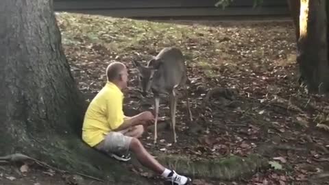 Guy feeding deer with his mouth