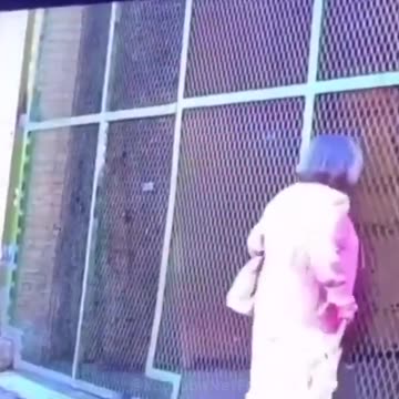 Big Fails Funny Videos