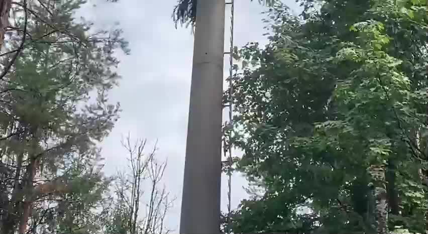 5G Tower als Baum getarnt