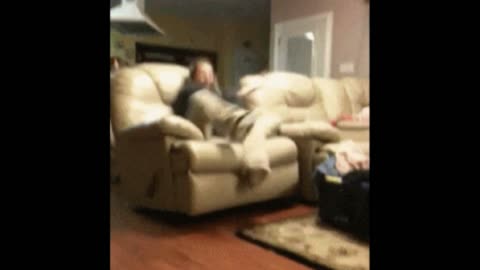 Gif video of dog turns over the sofa with its owner