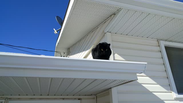 Midnight on the roof of the garage