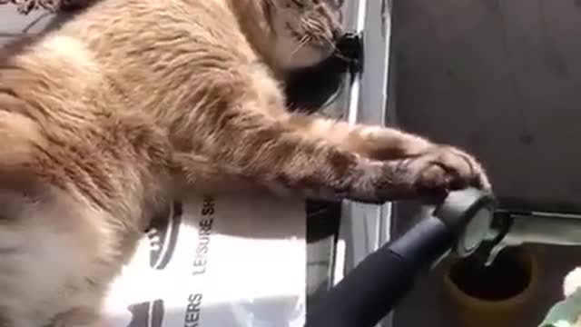 Cute Thing I have seen Today