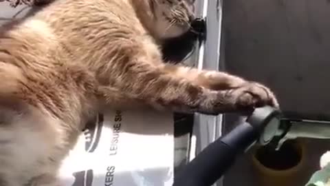 Cute Thing I have seen Today