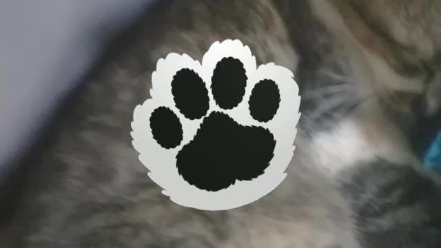 #### CAT ESTYMAYTION ####