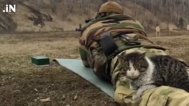 Ukrainian Soldier And His Cat