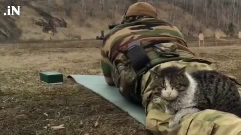 Ukrainian Soldier And His Cat