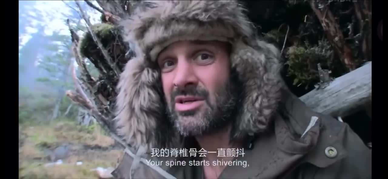 Wish you to see this video, every day have a good mood!!