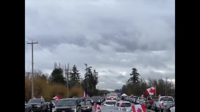 CANADIAN BLOCKADE HONKING!!!