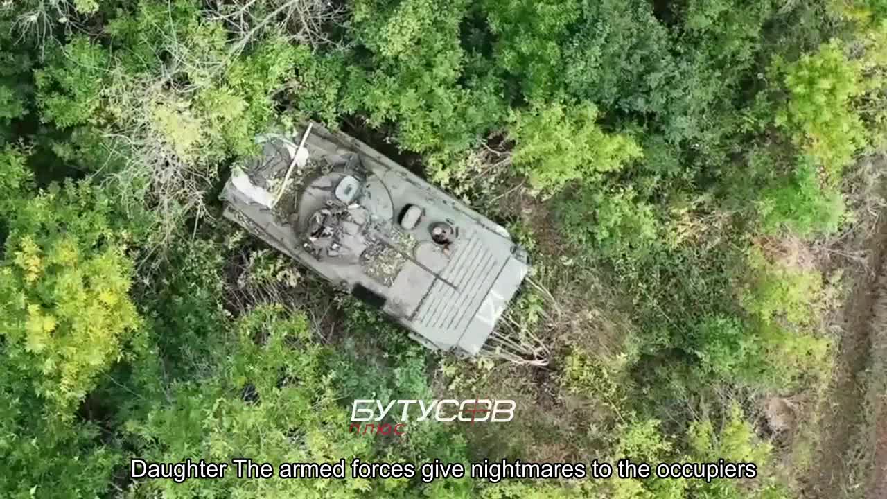 Daughter The armed forces give nightmares to the occupiers