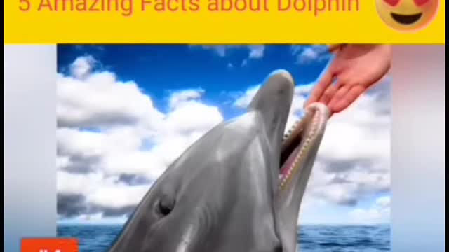 Amazing facts